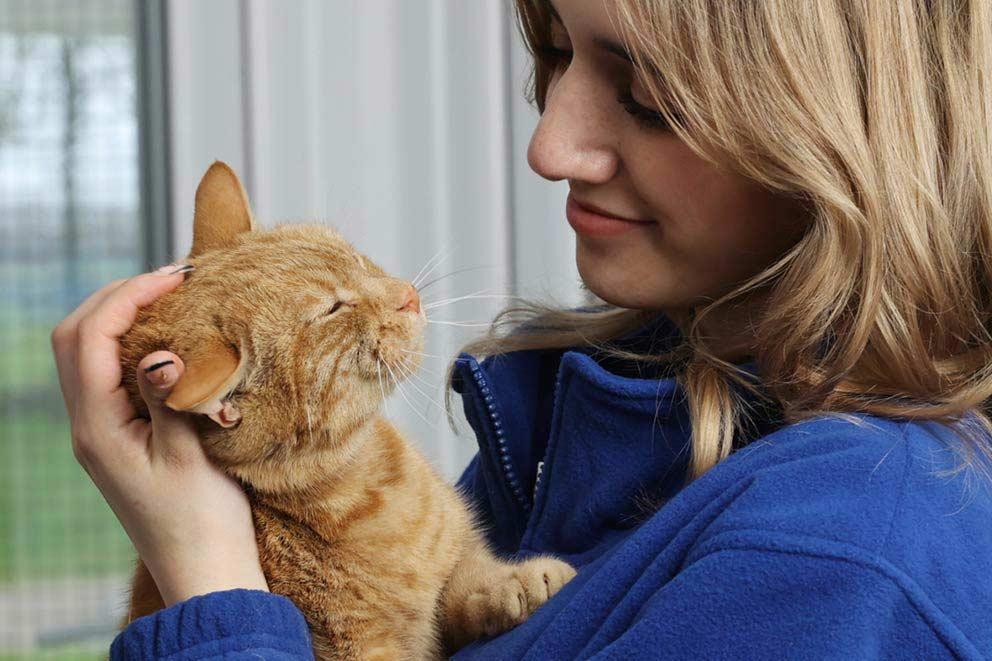 Woman in blue jumper cuddles ginger cat, she is smiling