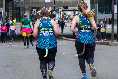 RSPCA Team Animal runners wearing ears and tails while running race.