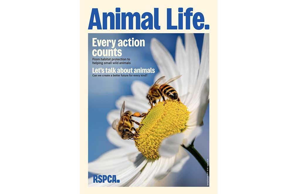 Animal Life Summer cover 2025