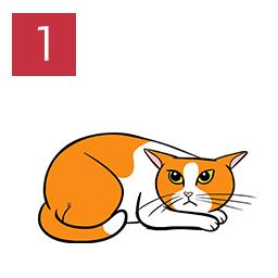 An illustration of a cat lying down with ears flattened,