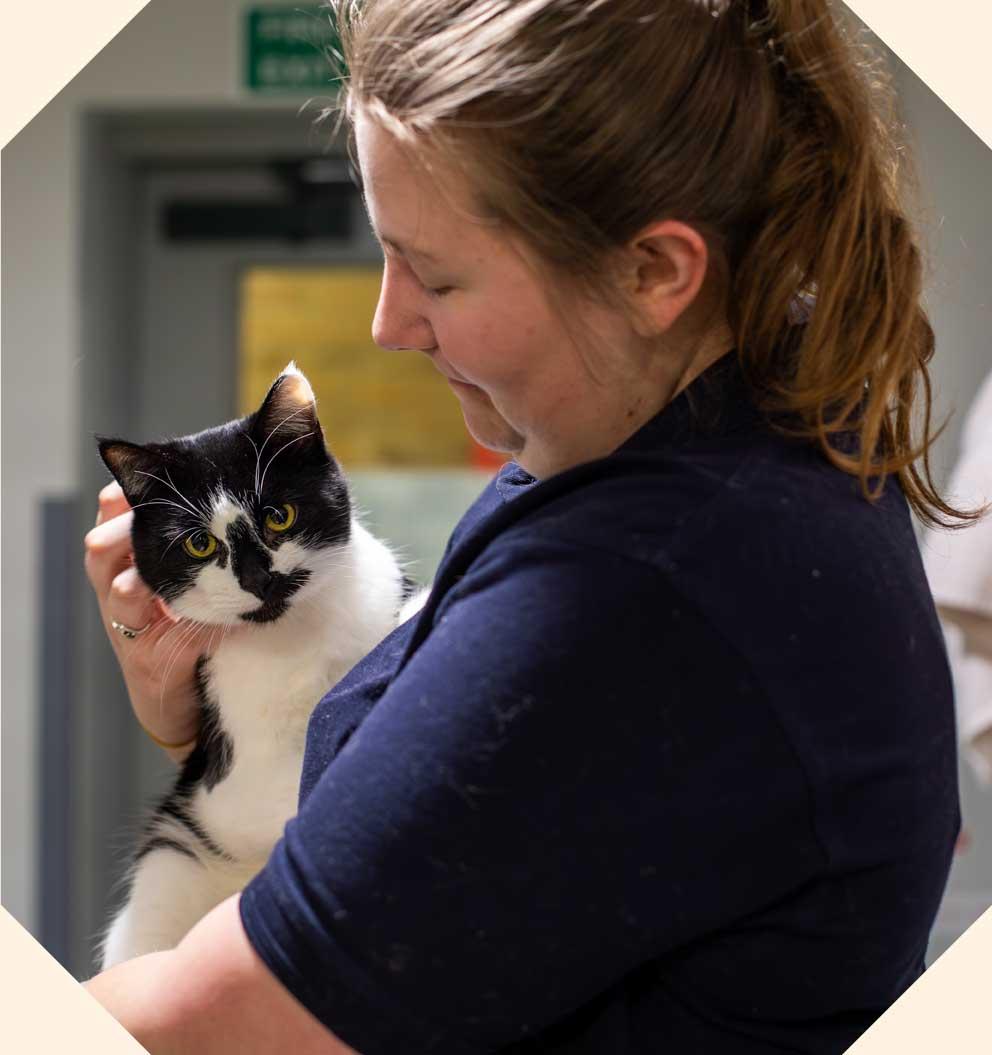 Animal care officer enjoying a cuddle with Maurice the rescue cat.