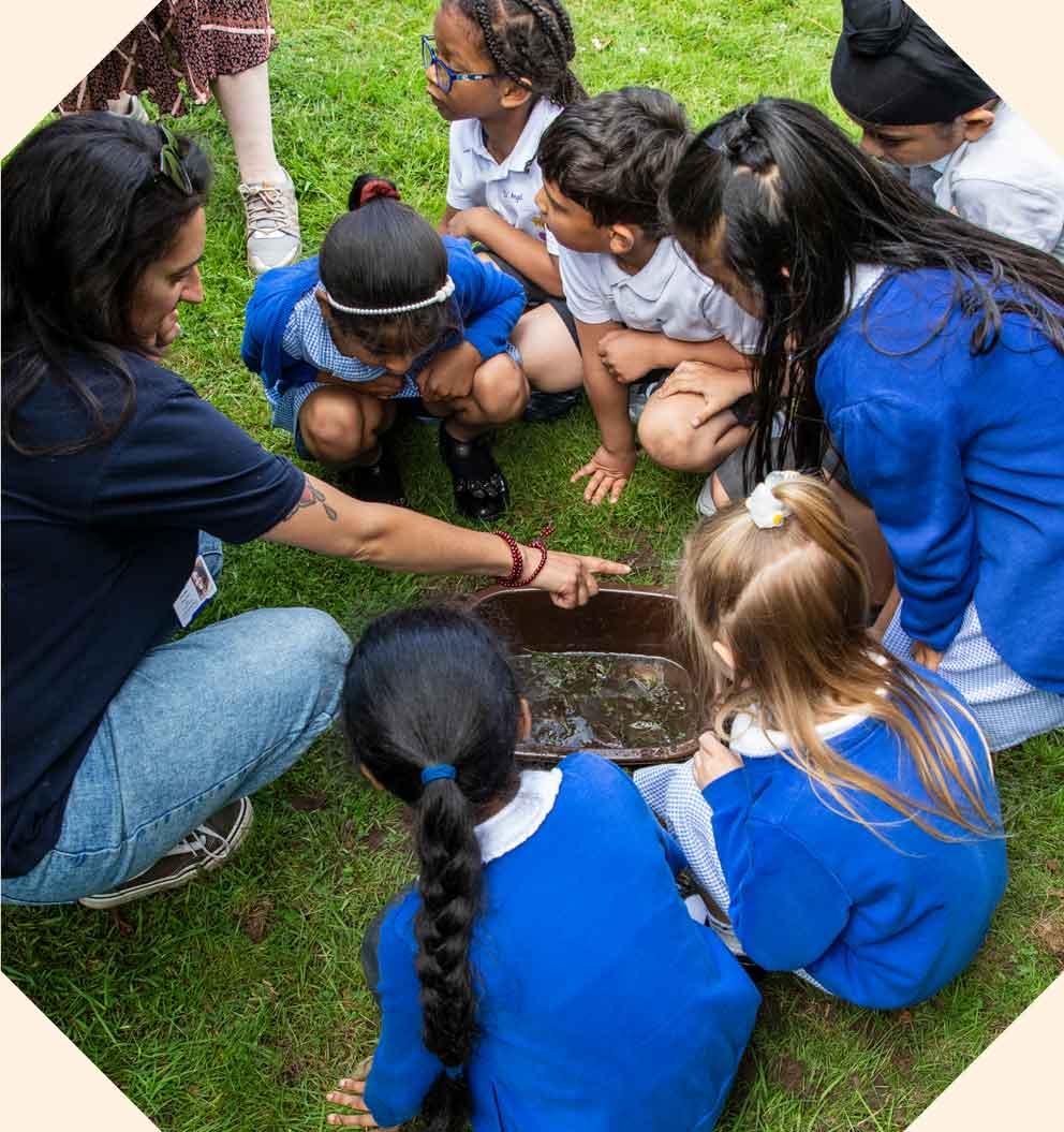 Primary school children learning about living with wildlife in an outside group activity.