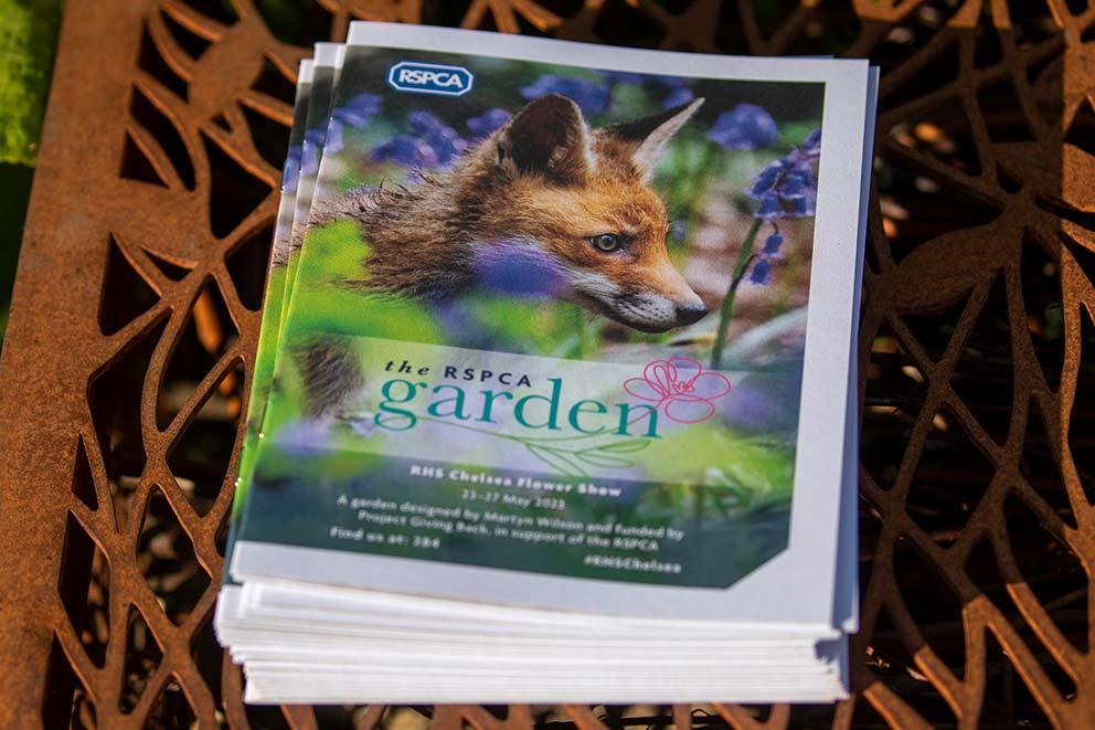 A stack of RSPCA branded brochures on a table outside.