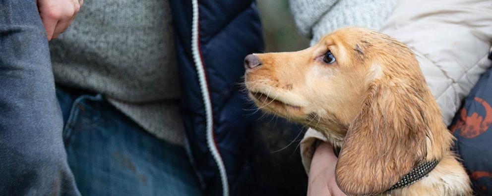 A dog sitting with two people outside.